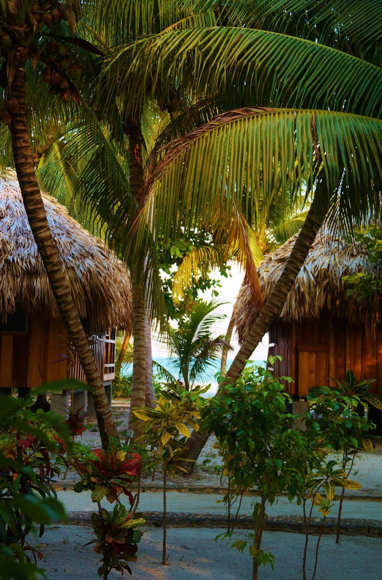 St. George'S Caye Resort Belize City Phòng bức ảnh