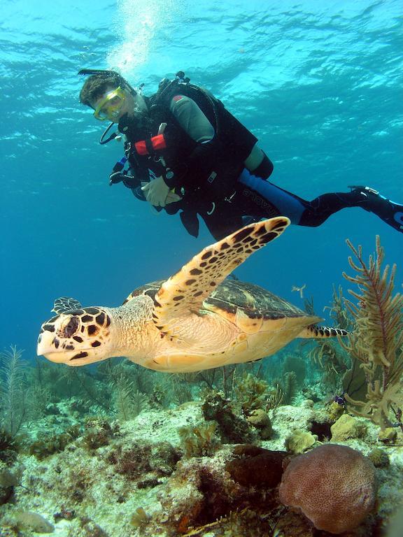 St. George'S Caye Resort Belize City Ngoại thất bức ảnh
